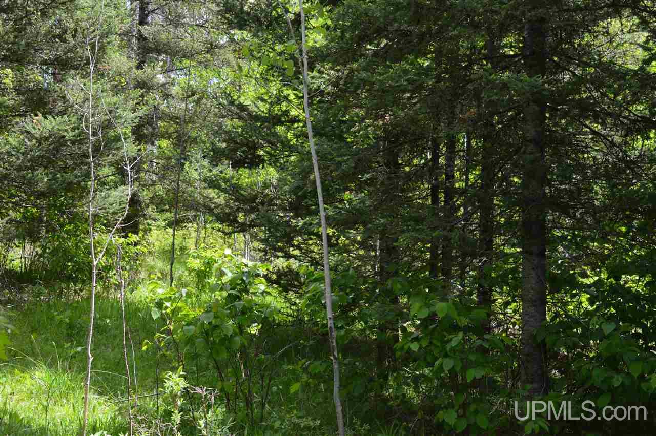 Tbd Premo Dam Road Amasa, MI 49903 - Photo 17 of 27 Gallery Image 17