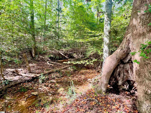 $2,490,000 | 160 Smith Motors Road, Belton, SC 29627