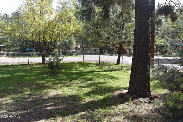 a view of a backyard with large trees