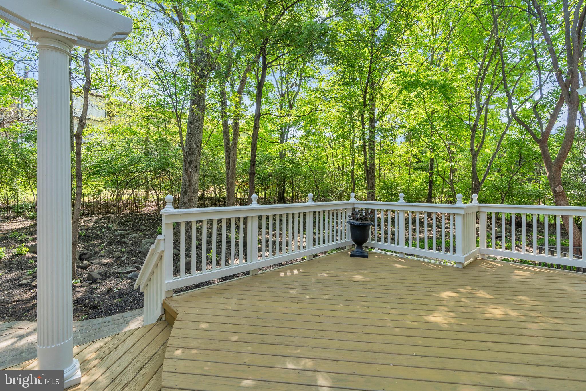 12111 North Walnut Branch Road Reston, VA 20194 - Photo 64 of 81