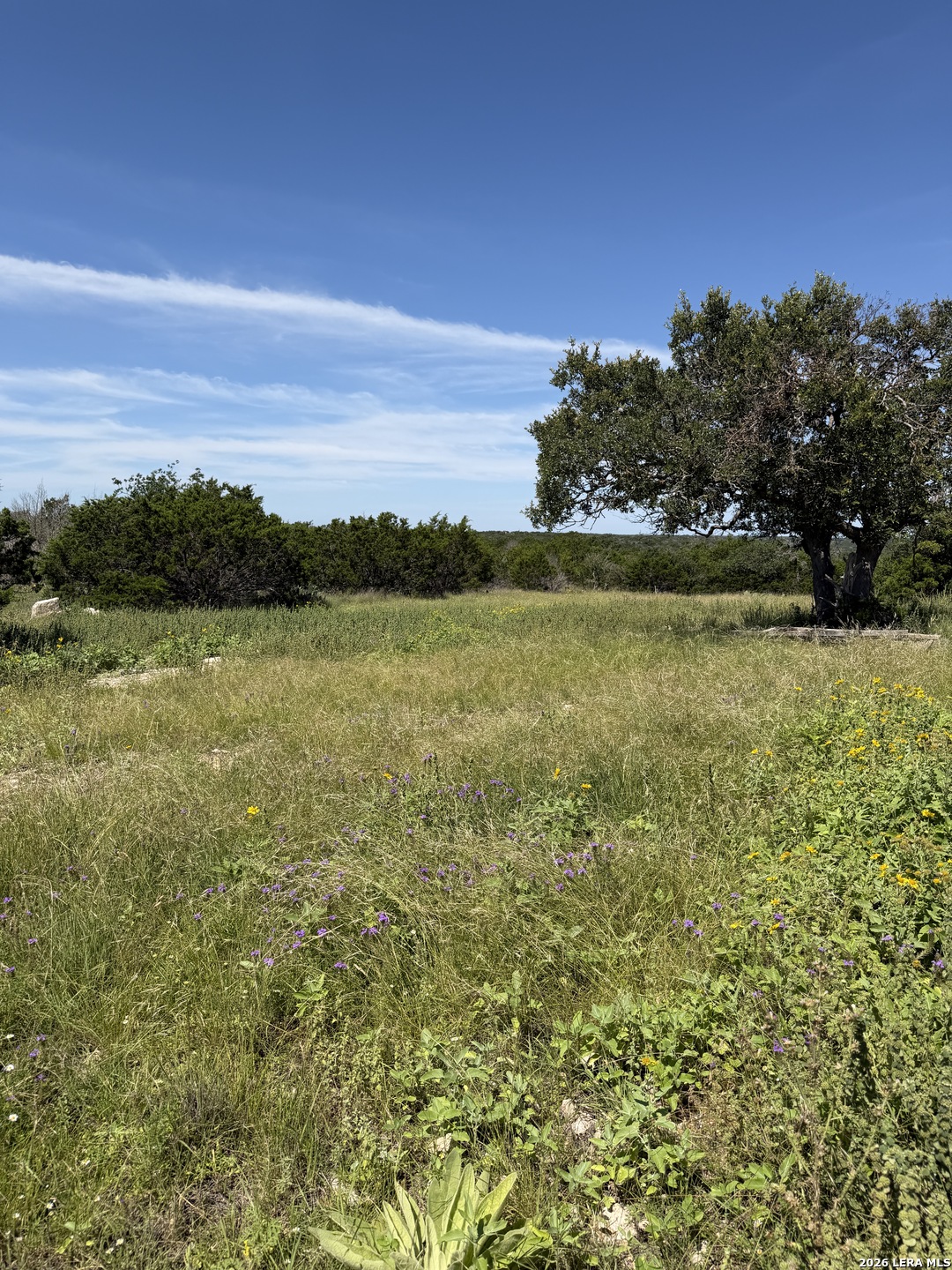 2724 Sd 24910 Rocksprings, TX 78880 - Photo 17 of 56