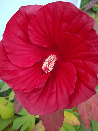 $689,900 | 35 Deerfield Drive, Brunswick, ME 04011