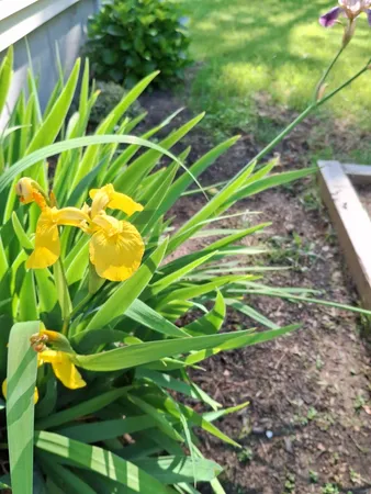 $689,900 | 35 Deerfield Drive, Brunswick, ME 04011