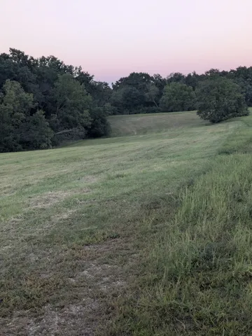 a view of an outdoor space and a yard