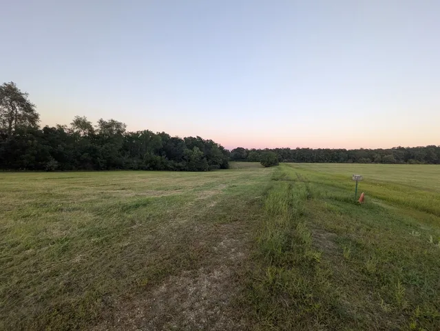 a view of a field with an ocean view
