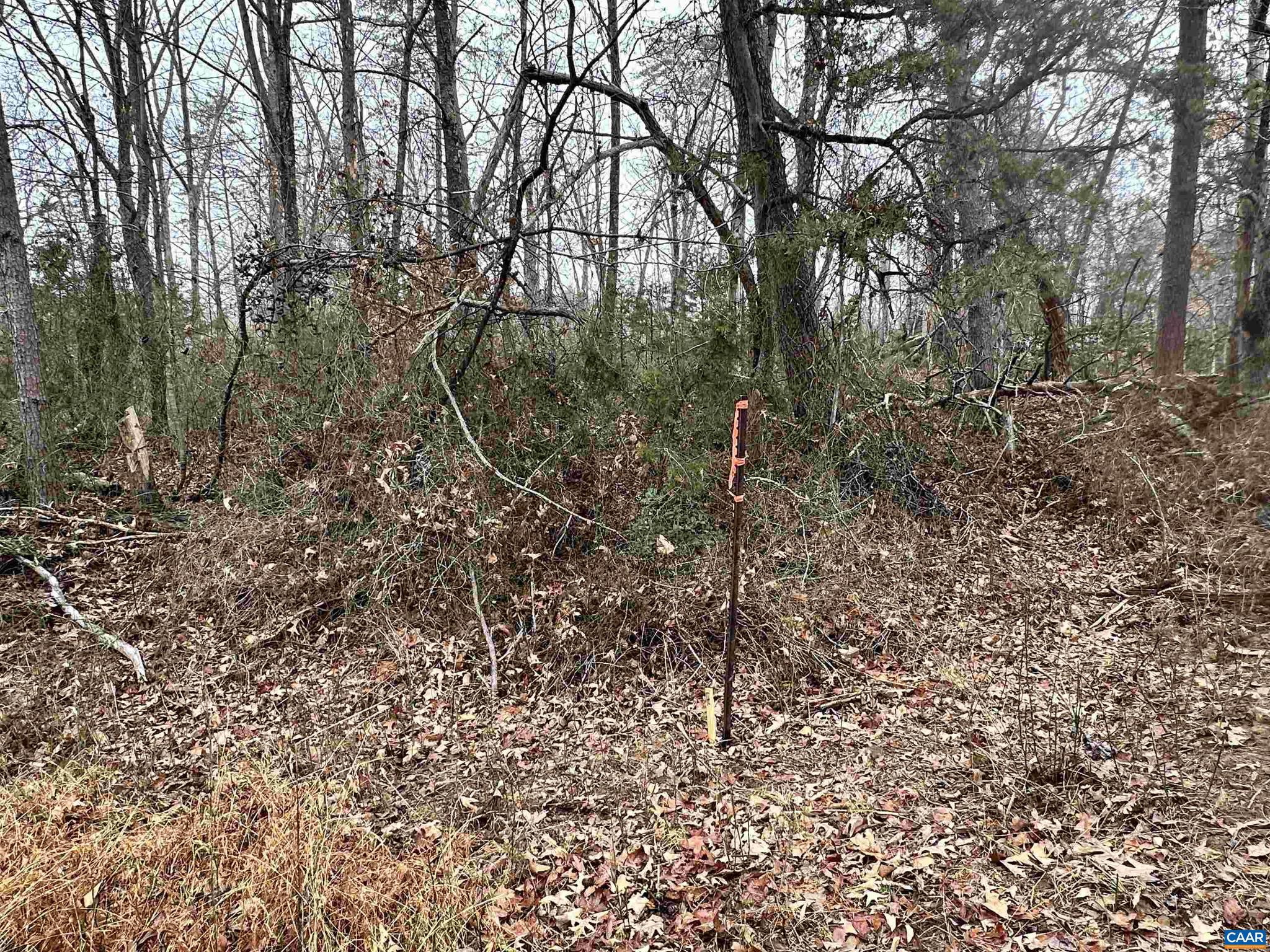 0 Elly Road, Unit 50 81 Aroda, VA 22709 - Photo 22 of 34 a view of a yard with large trees