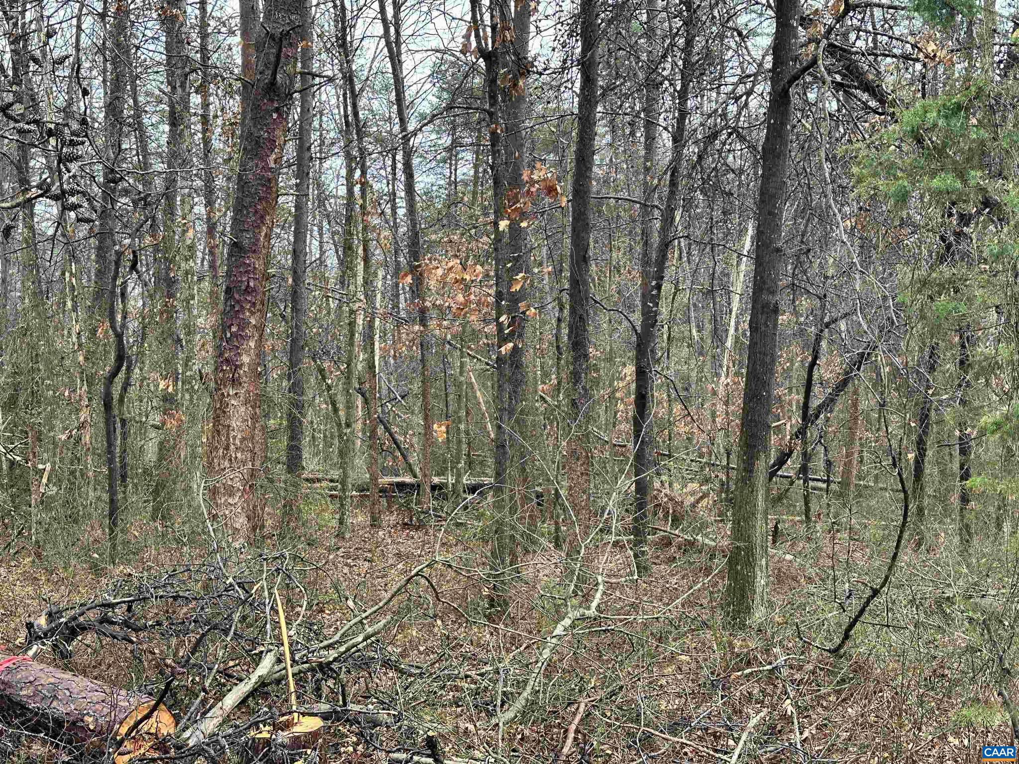 0 Elly Road, Unit 50 81 Aroda, VA 22709 - Photo 28 of 34