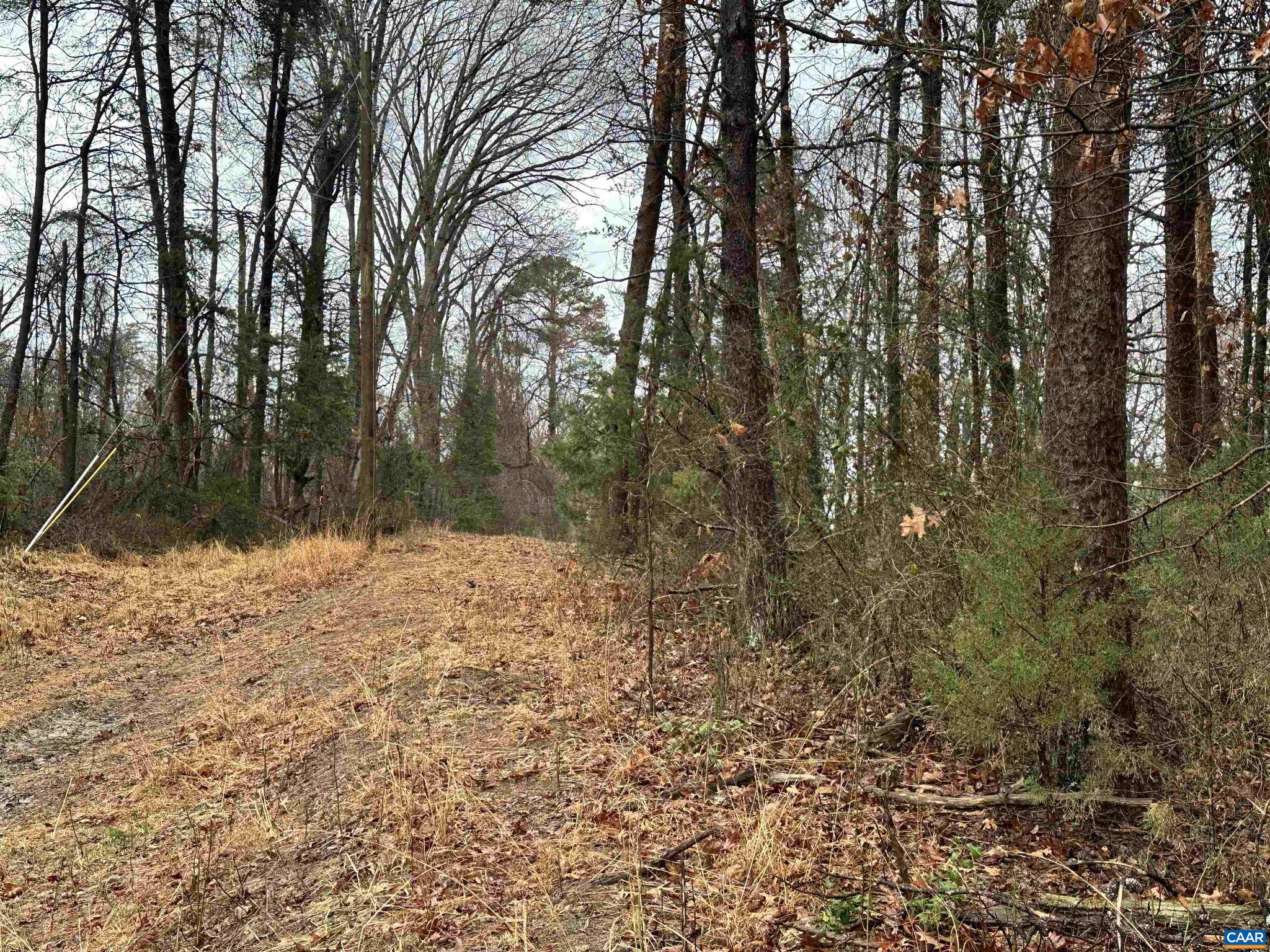 0 Elly Road, Unit 50 81 Aroda, VA 22709 - Photo 30 of 34 a view of a yard with trees