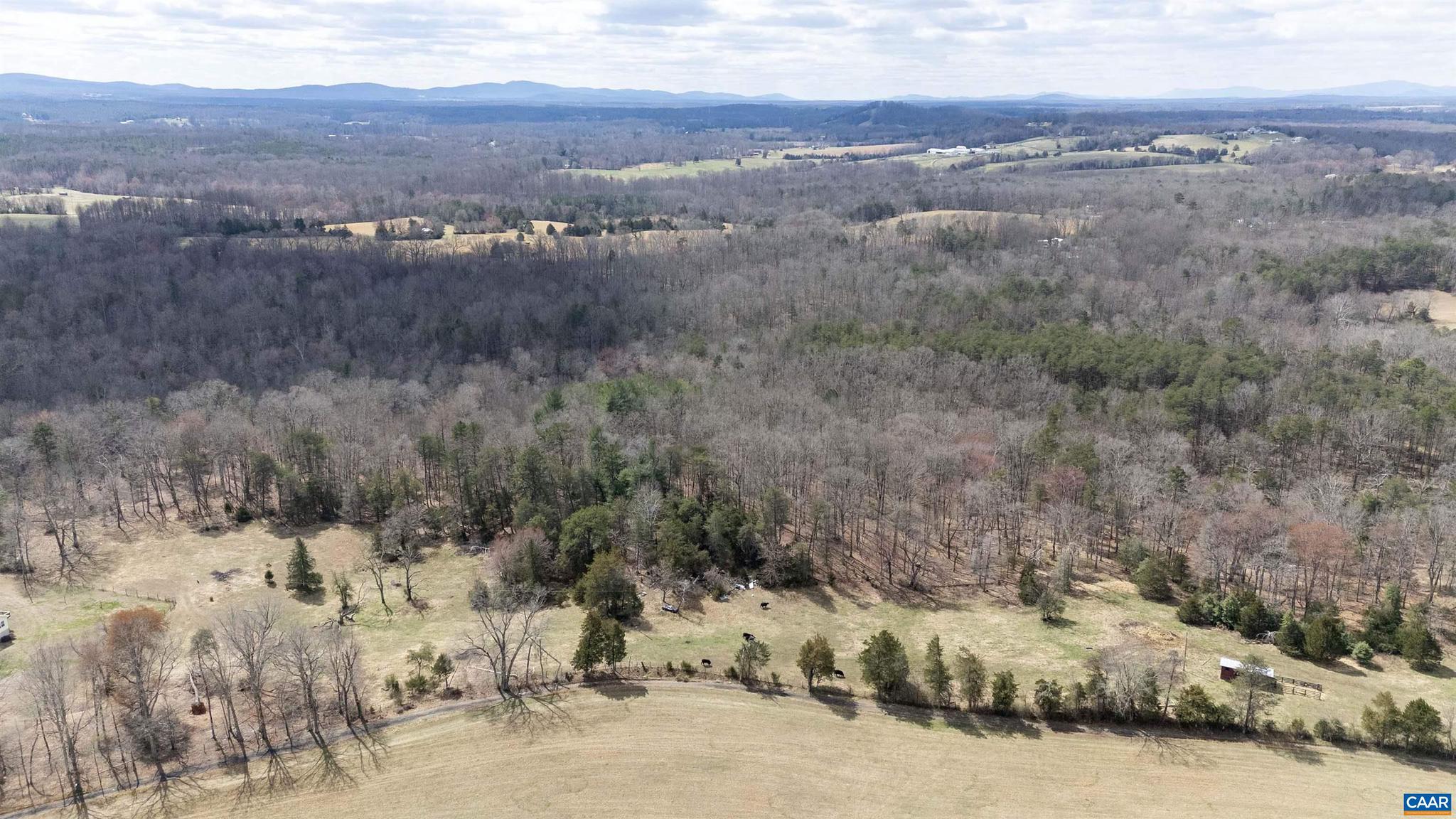 0 Elly Road, Unit 50 81 Aroda, VA 22709 - Photo 5 of 34