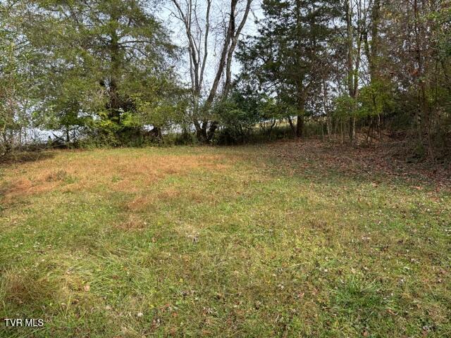 11712 Wallace Pike Bristol, VA 24202 - Photo 4 of 12 wallace pike yard 11182024