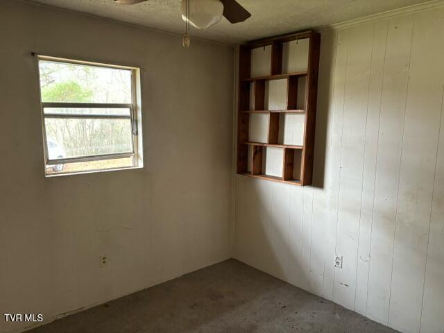 11712 Wallace Pike Bristol, VA 24202 - Photo 9 of 12 wallace pike bedroom 2 11182024