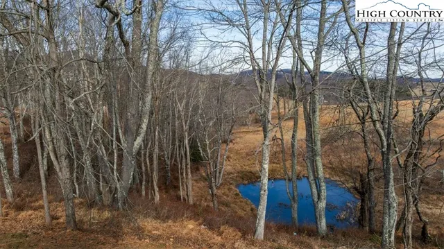 $880,000 | 20 Busic Ridge, Sparta, NC 28675