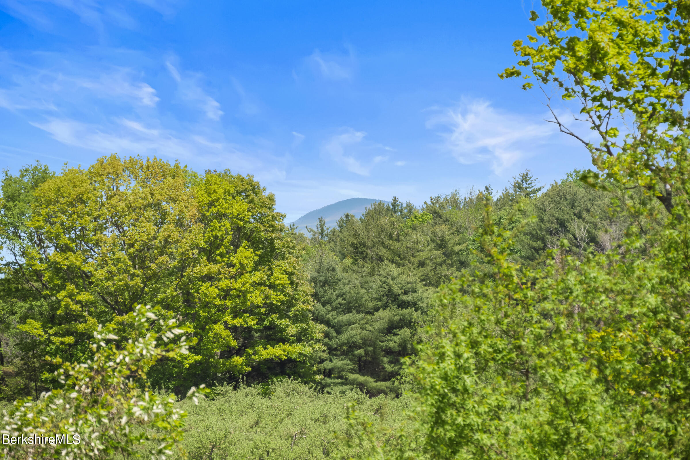 79 View Drive Richmond, MA 01201 - Photo 34 of 34 a view of a garden
