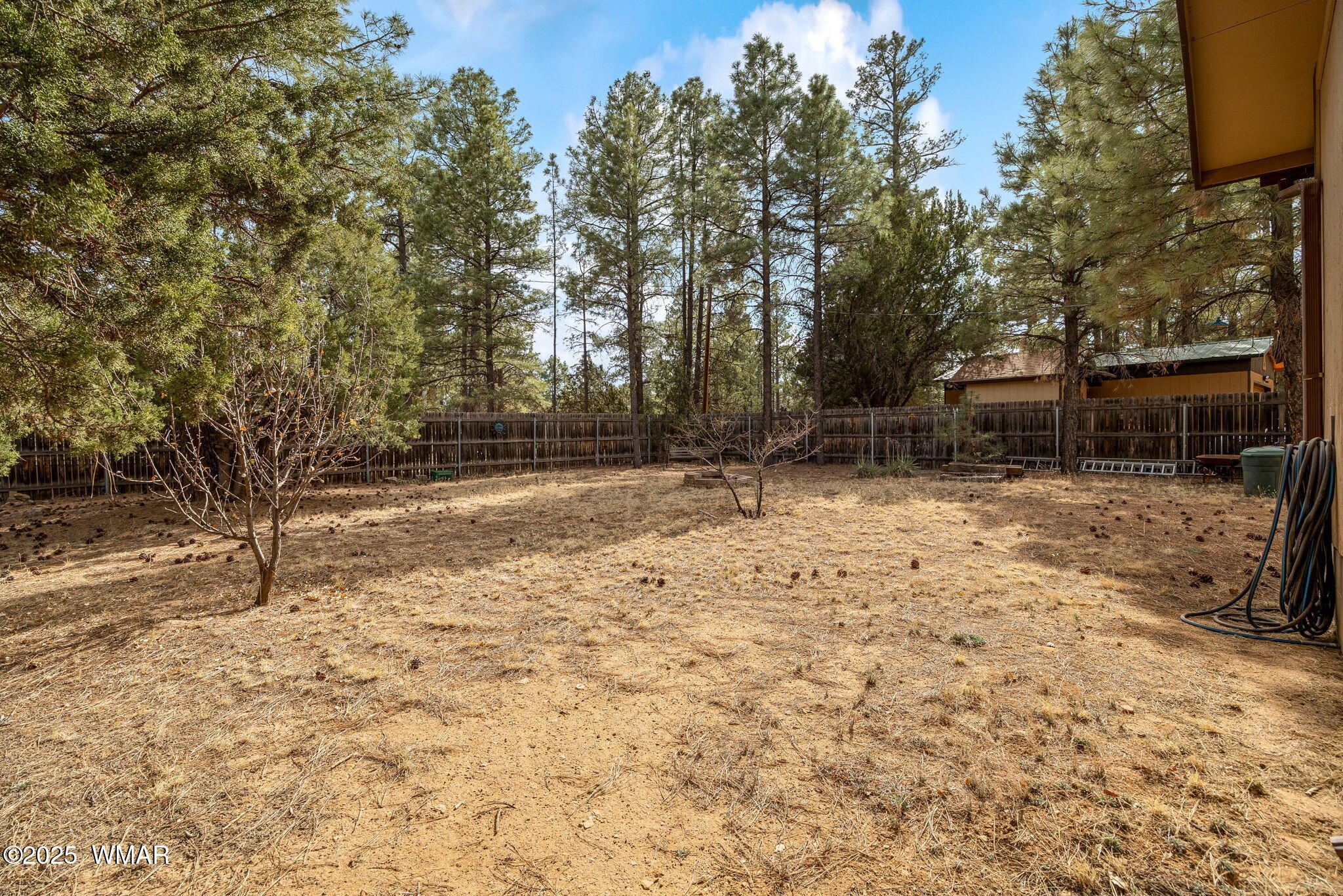 2051 Lumber Valley Road Overgaard, AZ 85933 - Photo 23 of 30 a view of a yard with a tree
