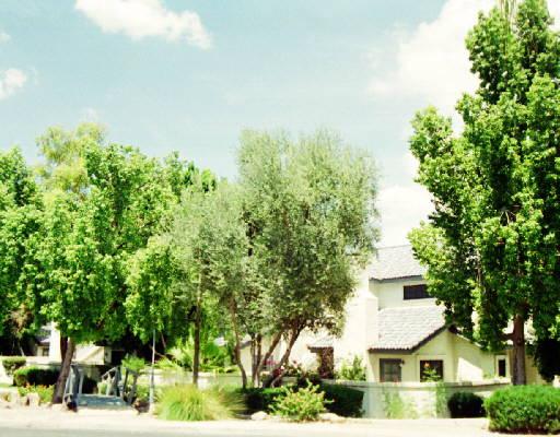 1222 West Baseline Road, Unit 232 Tempe, AZ 85283 - Photo 1 of 1 Primary Photo