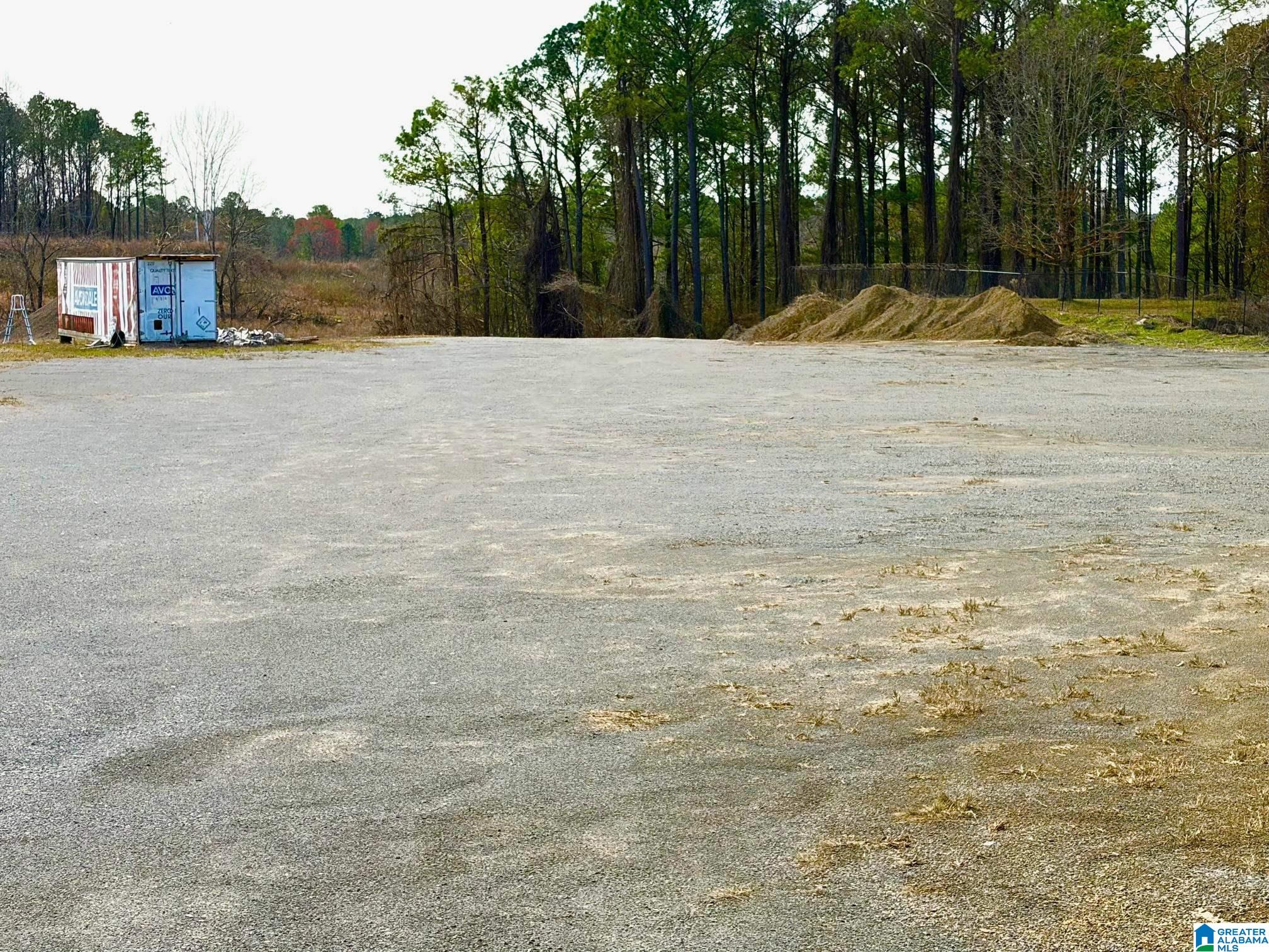 0 County Line Road Trafford, AL 35172 - Photo 4 of 11