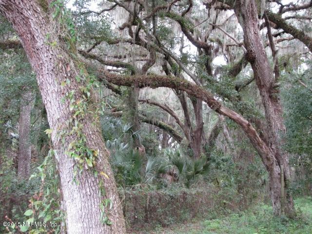 540 Bennett Road Pierson, FL 32180 - Photo 3 of 11 a view of a tree in a yard