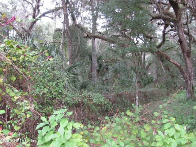 540 Bennett Road Pierson, FL 32180 - Photo 8 of 11 a view of a forest that has a tree