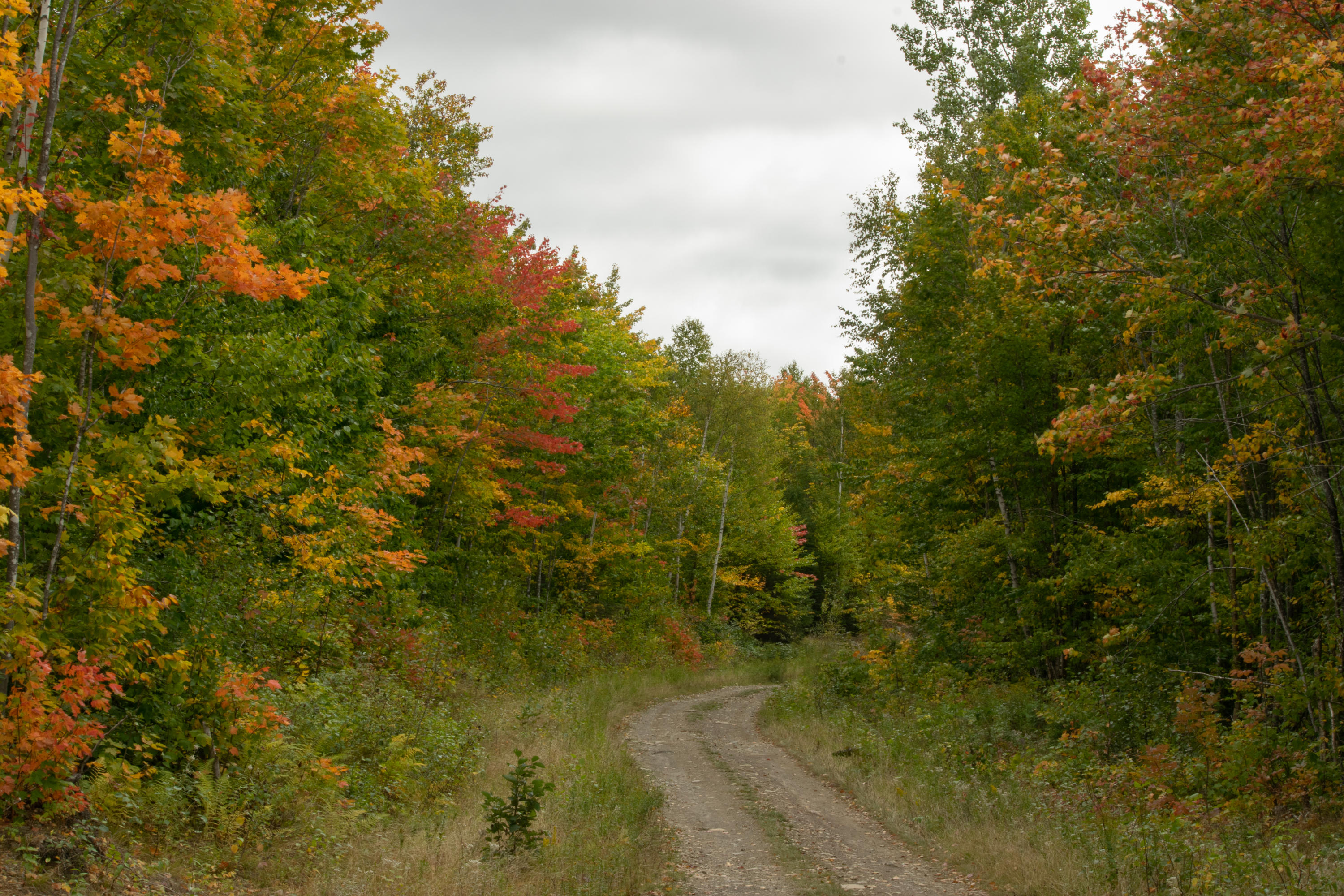 Lot 69 Cyr Rd Mount Mount Chase, ME 04765 - Photo 7 of 14 DSC_1462