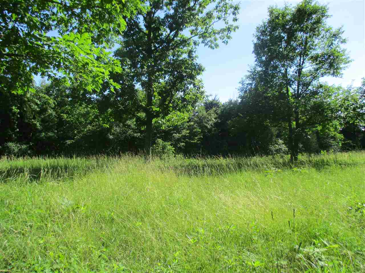 6.75-acres Liberty Ridge Road Falmouth, KY 41040 - Photo 9 of 21 Gallery Image 9