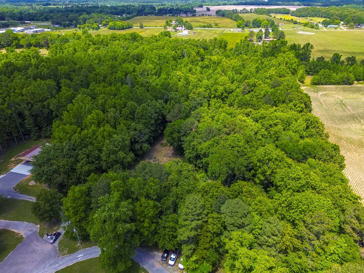 23 Grassy Branch Road Flintville, TN 37335 - Photo 22 of 24 a view of a garden