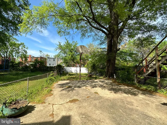 a view of a yard with plants and trees