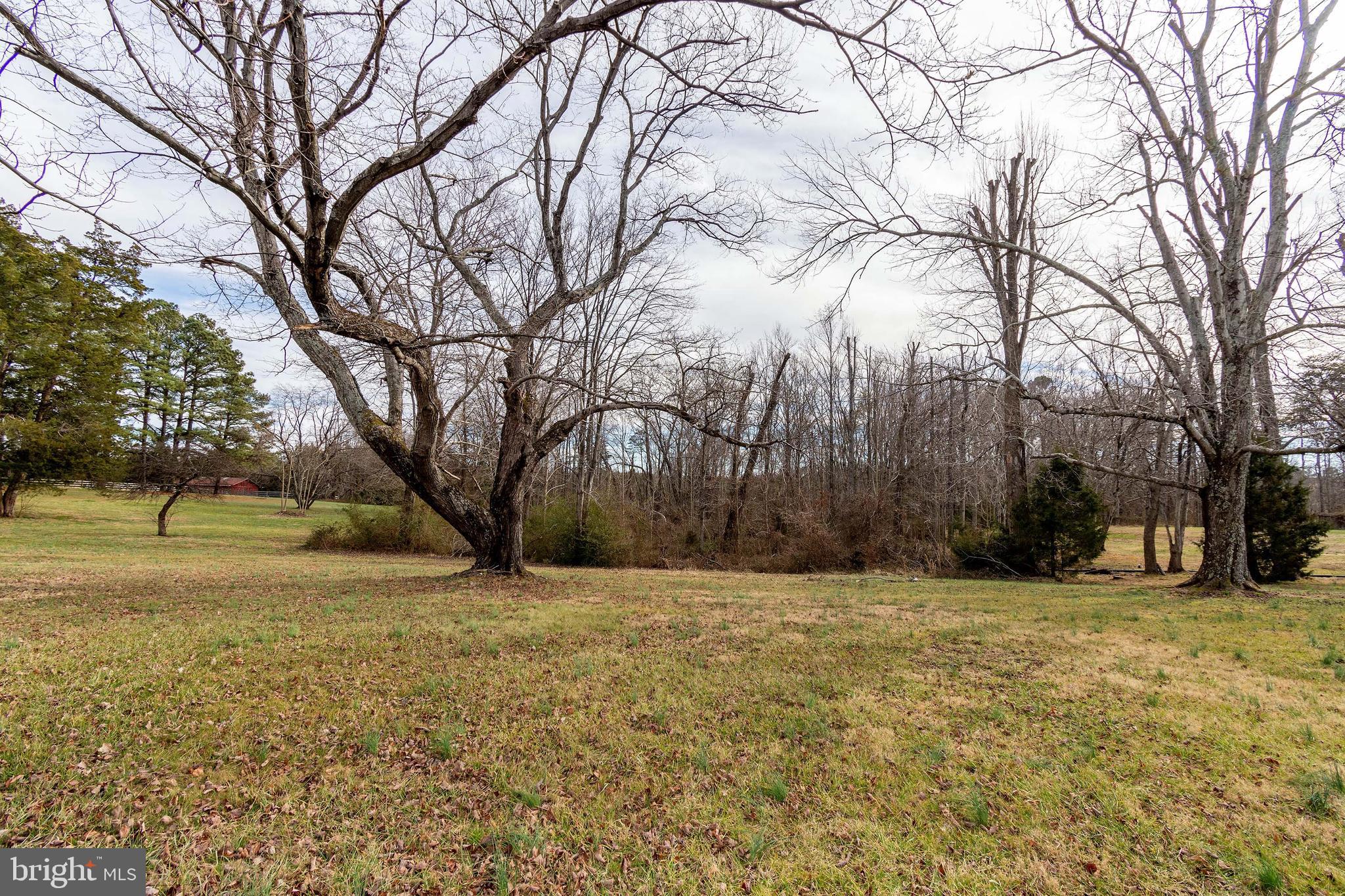 19440 Constitution Highway Orange, VA 22960 - Photo 9 of 38