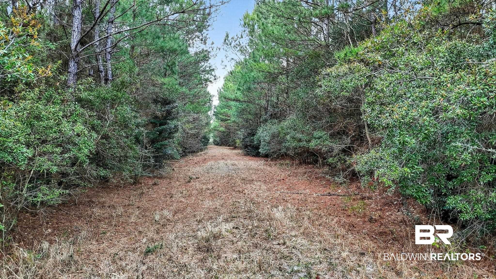 0 Hemley Road Bayou La Batre, AL 36509 - Photo 12 of 28