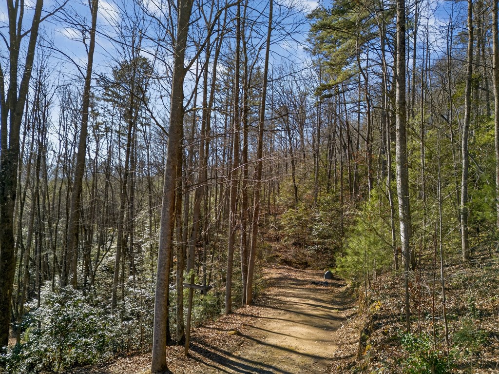 3437 Hanging Dog Road Murphy, NC 28906 - Photo 11 of 87 Gallery Image 11