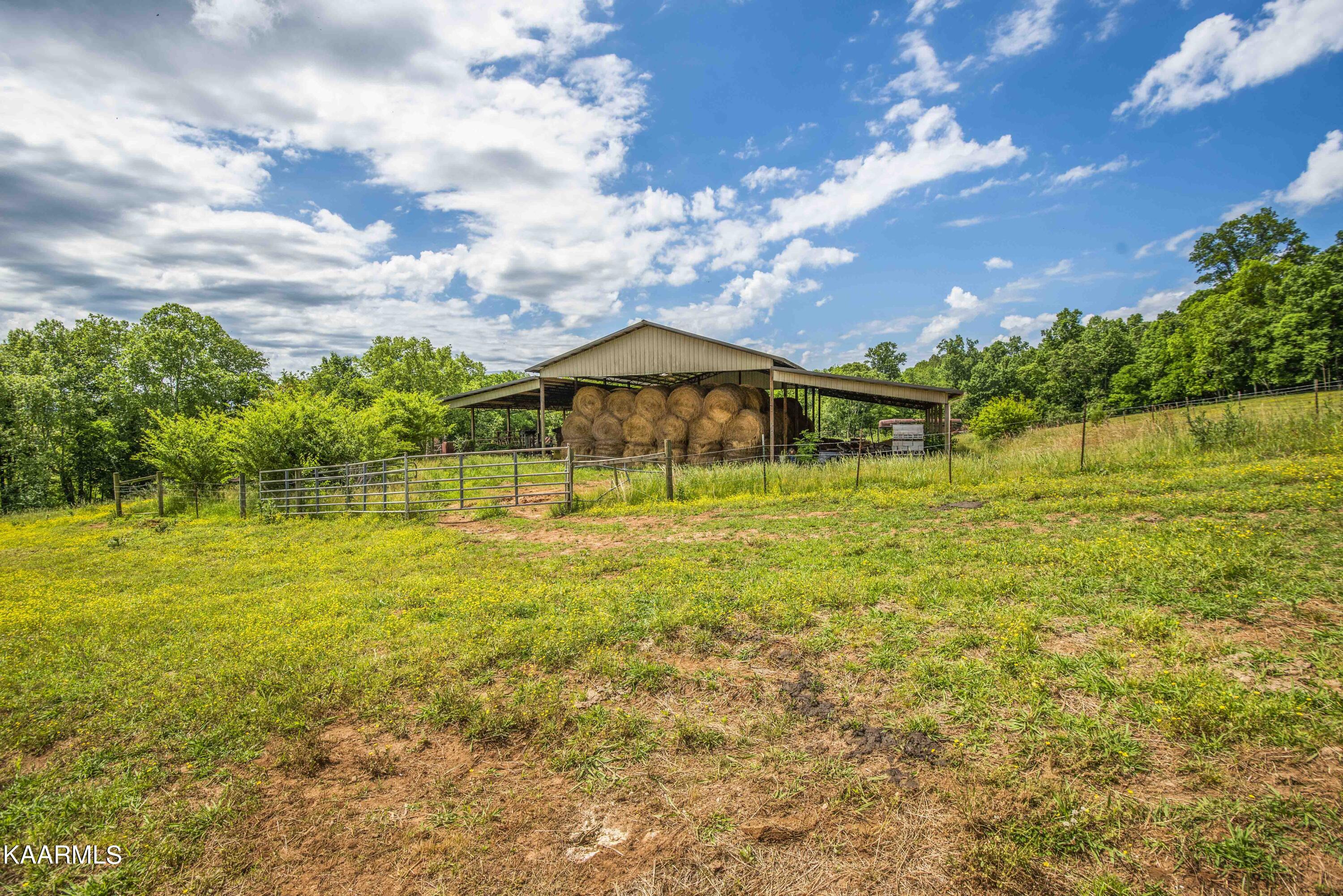 8601 Dry Ridge Road Loudon, TN 37774 - Photo 28 of 54 yard 27_1