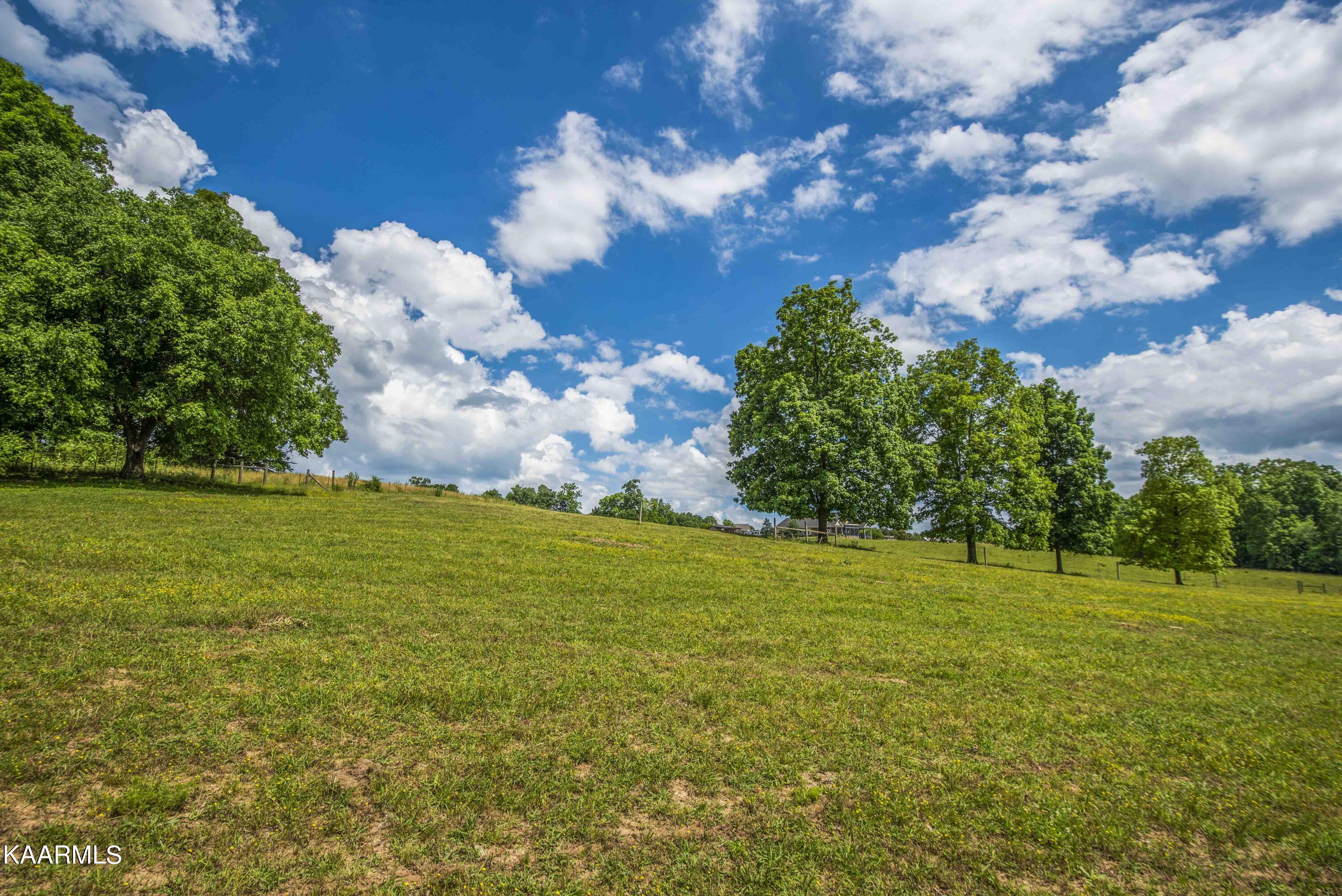 8601 Dry Ridge Road Loudon, TN 37774 - Photo 30 of 54 yard 32_1