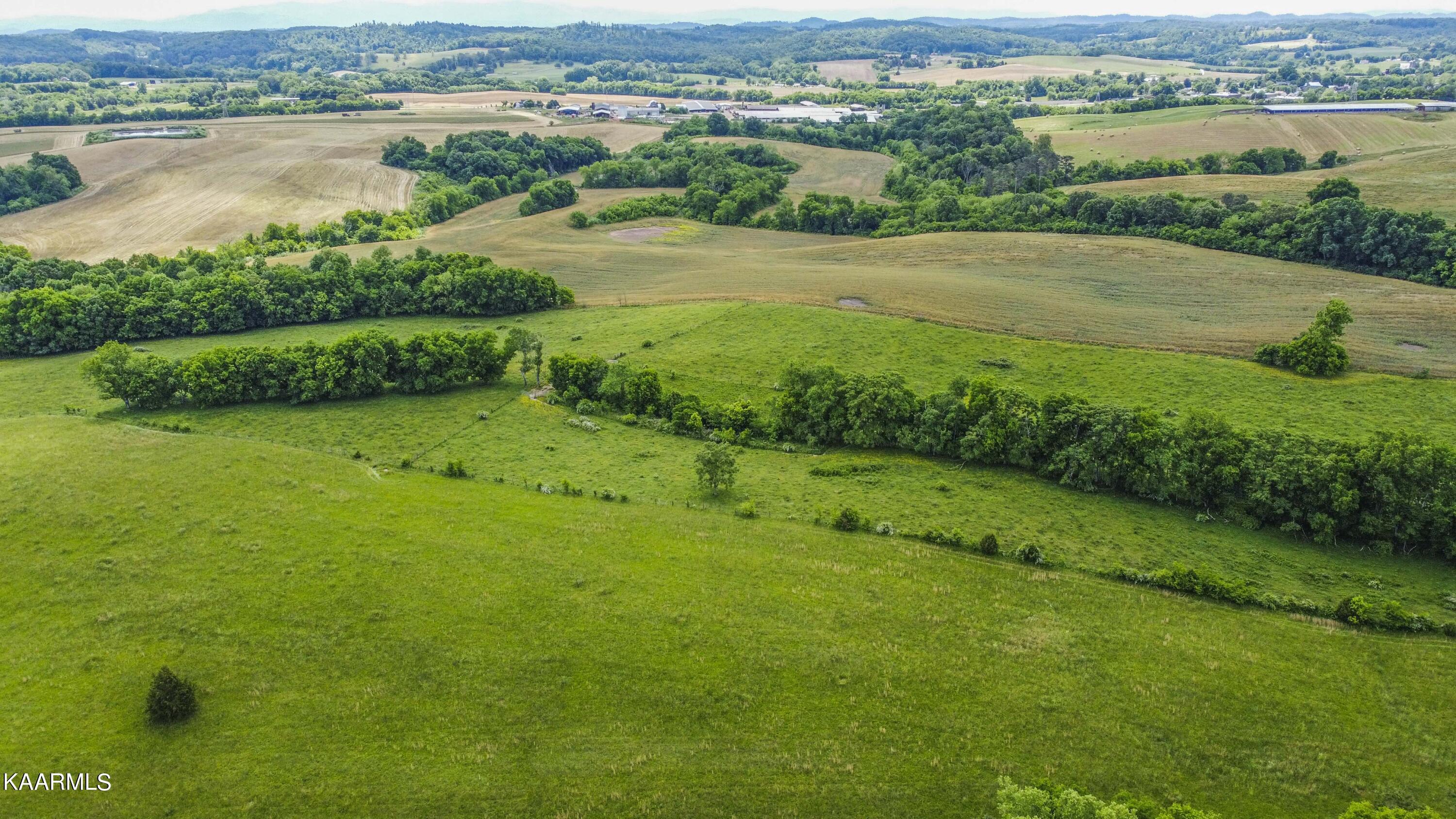 8601 Dry Ridge Road Loudon, TN 37774 - Photo 32 of 54 drone 4_1