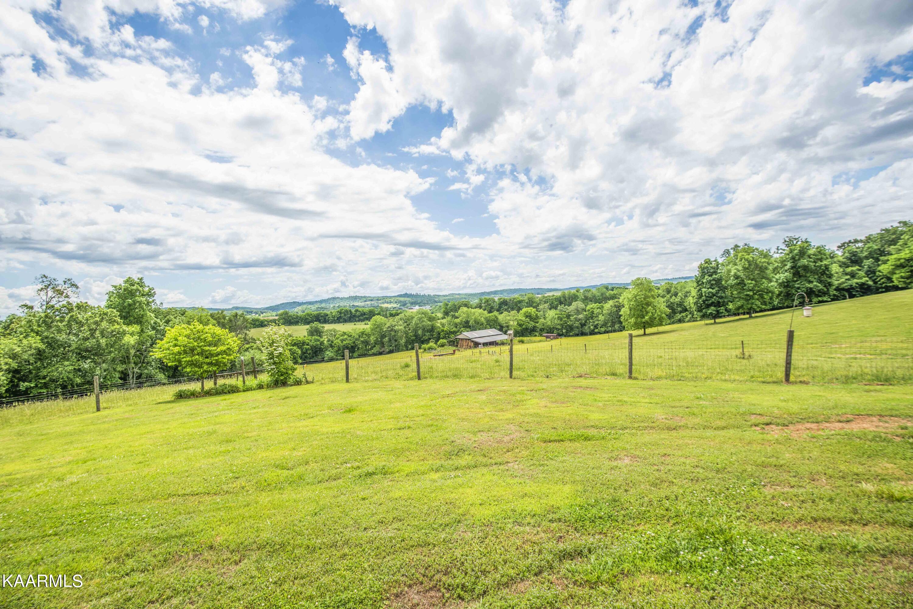 8601 Dry Ridge Road Loudon, TN 37774 - Photo 49 of 54 YARD 3_1