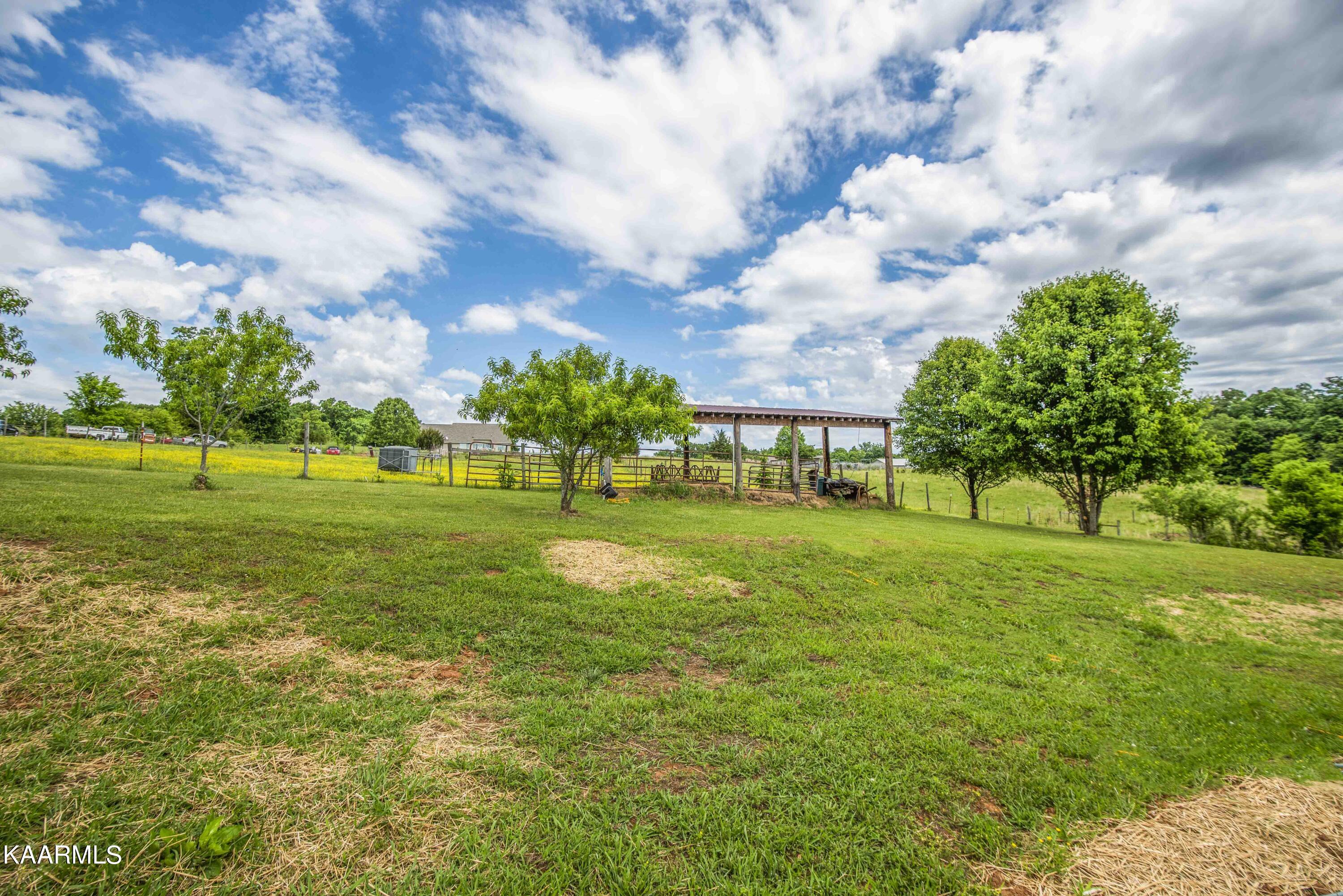 8601 Dry Ridge Road Loudon, TN 37774 - Photo 50 of 54 yard 9_1