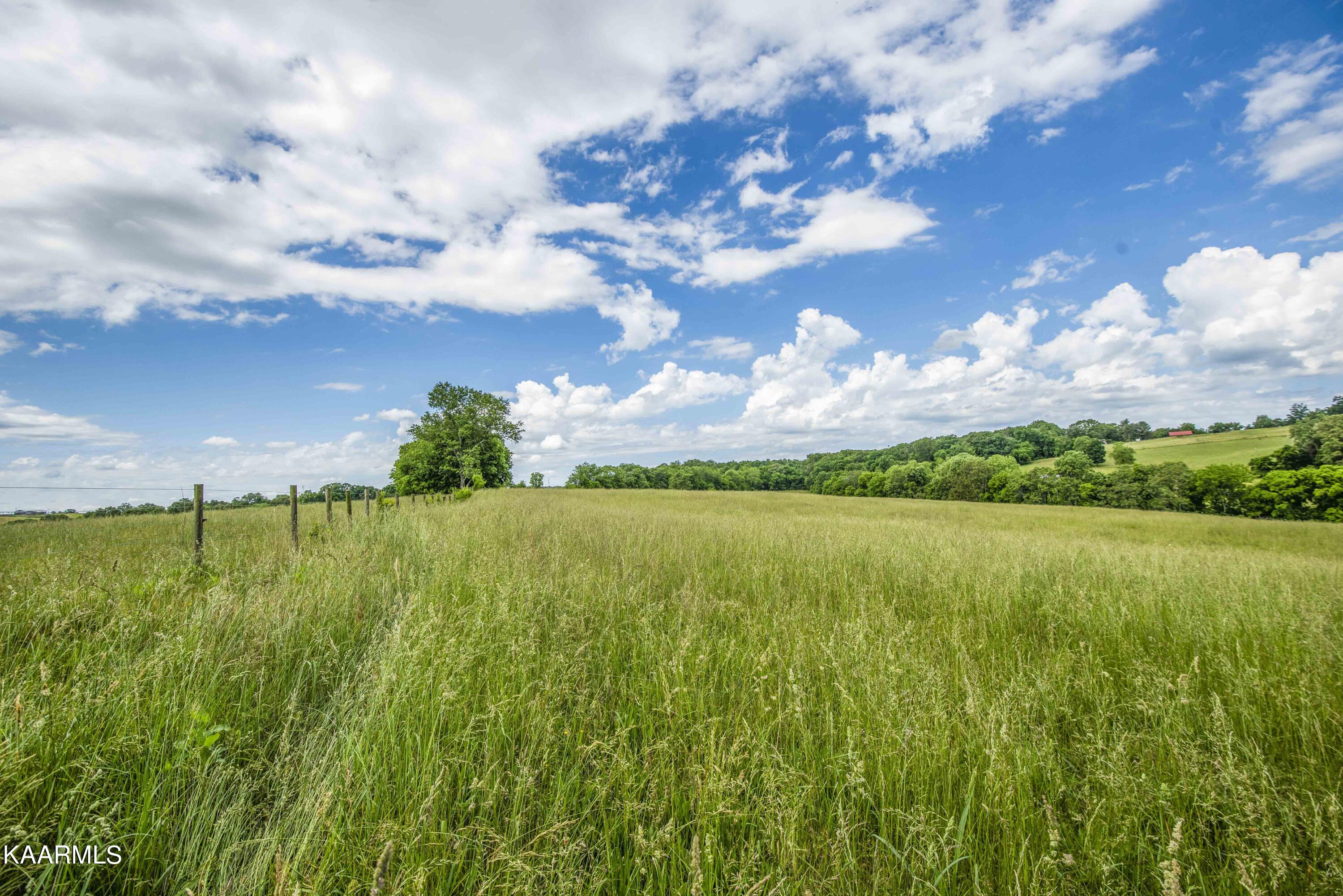 8601 Dry Ridge Road Loudon, TN 37774 - Photo 51 of 54 yard 18_1