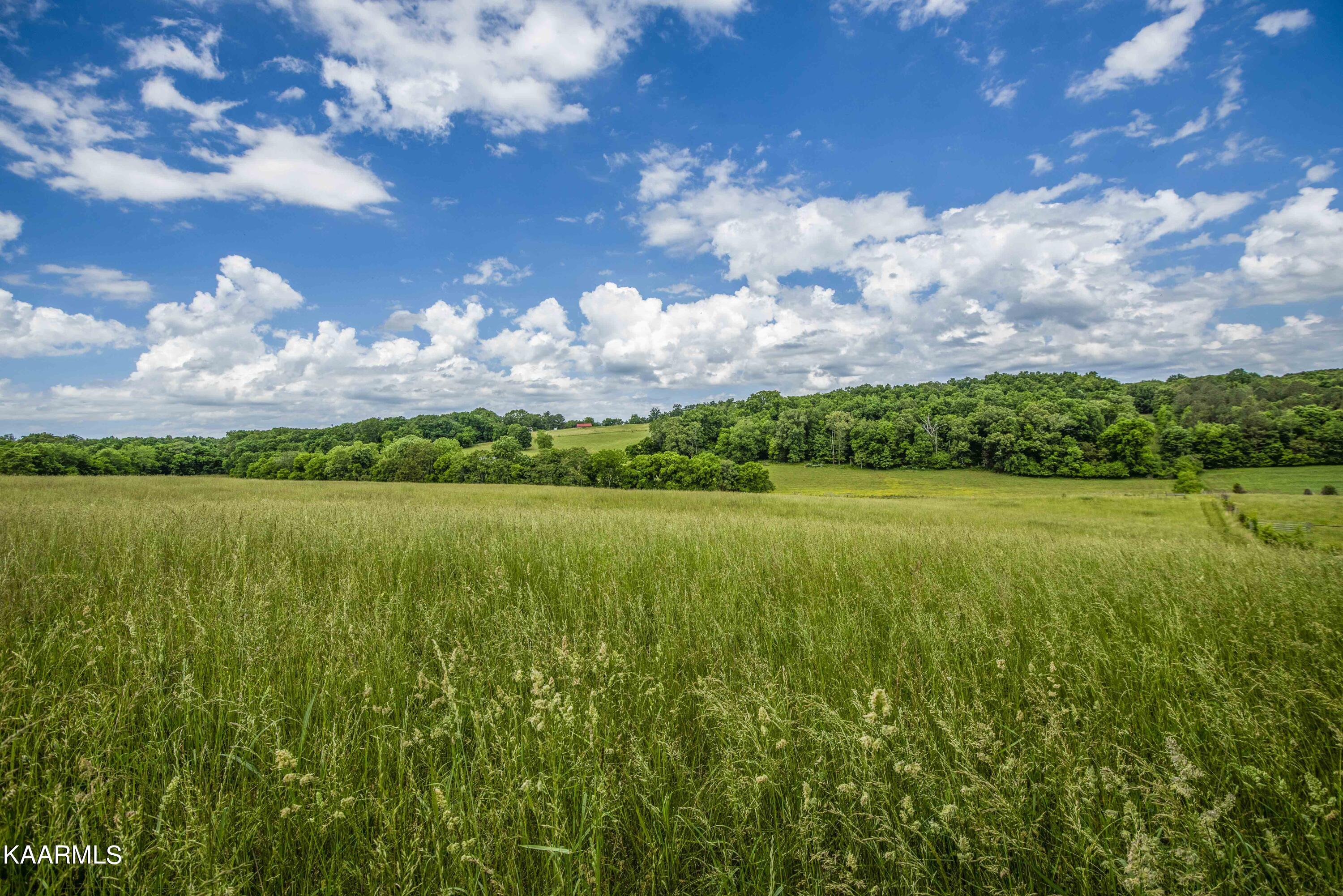 8601 Dry Ridge Road Loudon, TN 37774 - Photo 52 of 54 yard 19_1
