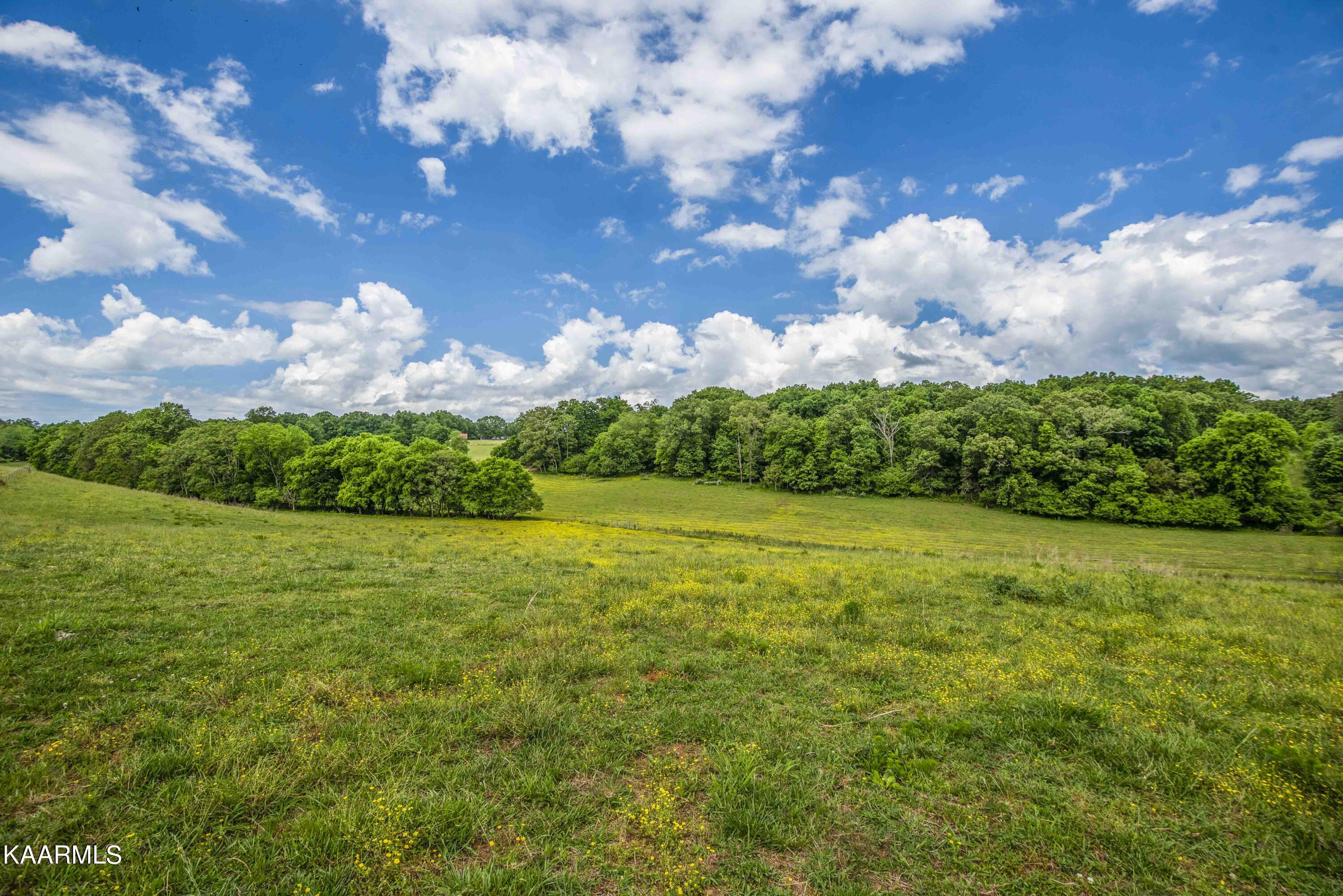 8601 Dry Ridge Road Loudon, TN 37774 - Photo 53 of 54 yard 22_1