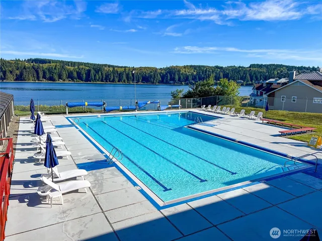 a view of a big yard with a palm tree