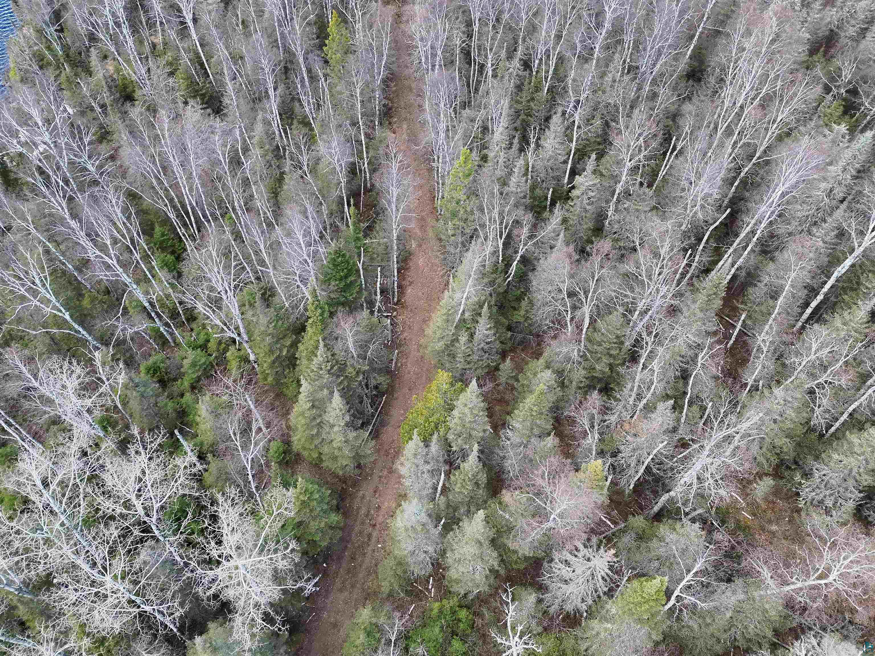 10097 Sister Lake Road Finland, MN 55603 - Photo 22 of 22