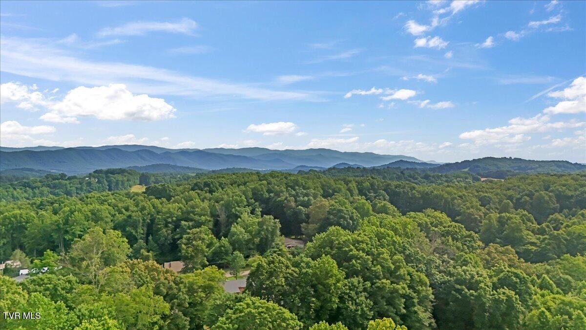 152 Cochran Road Jonesborough, TN 37659 - Photo 56 of 62 56-DJI_20260606164703_0134_D (1)