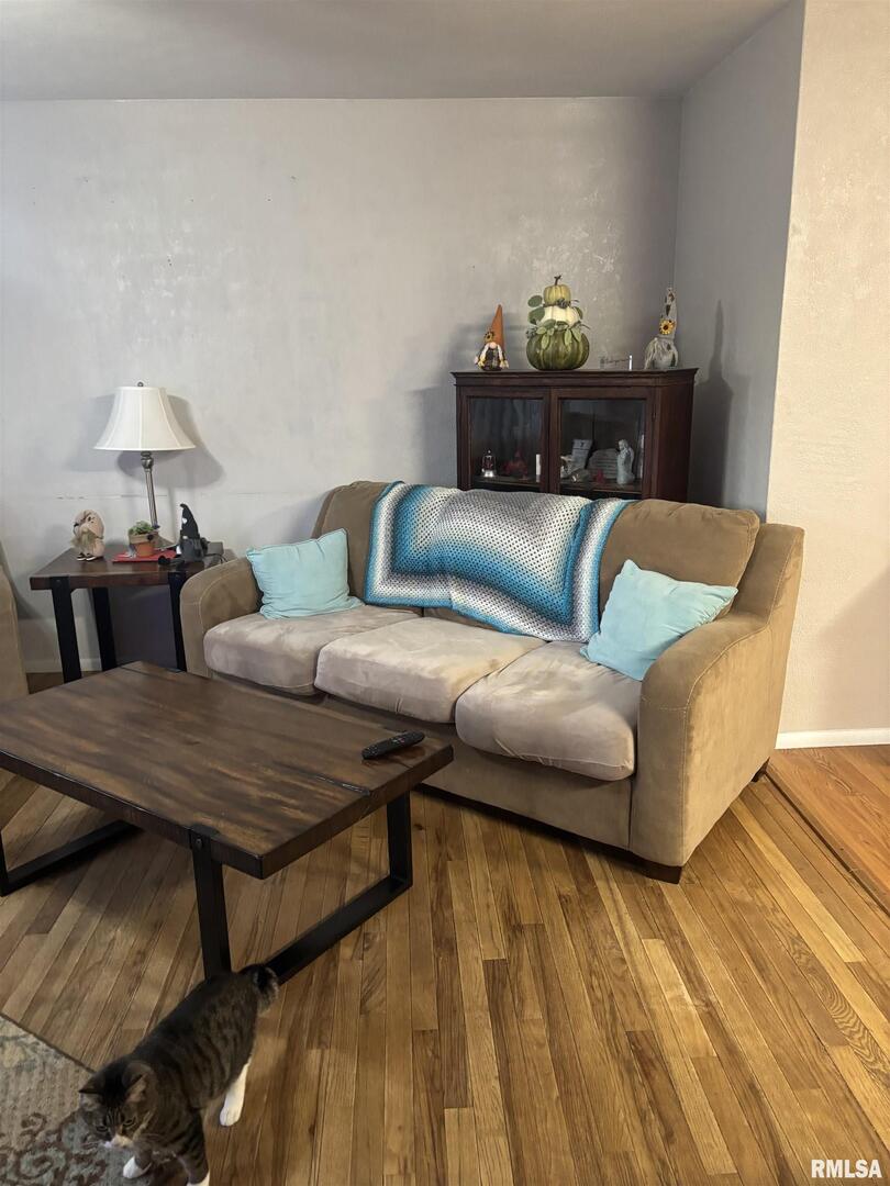 434 Payson Street Kewanee, IL 61443 - Photo 10 of 38 a living room with furniture and a table