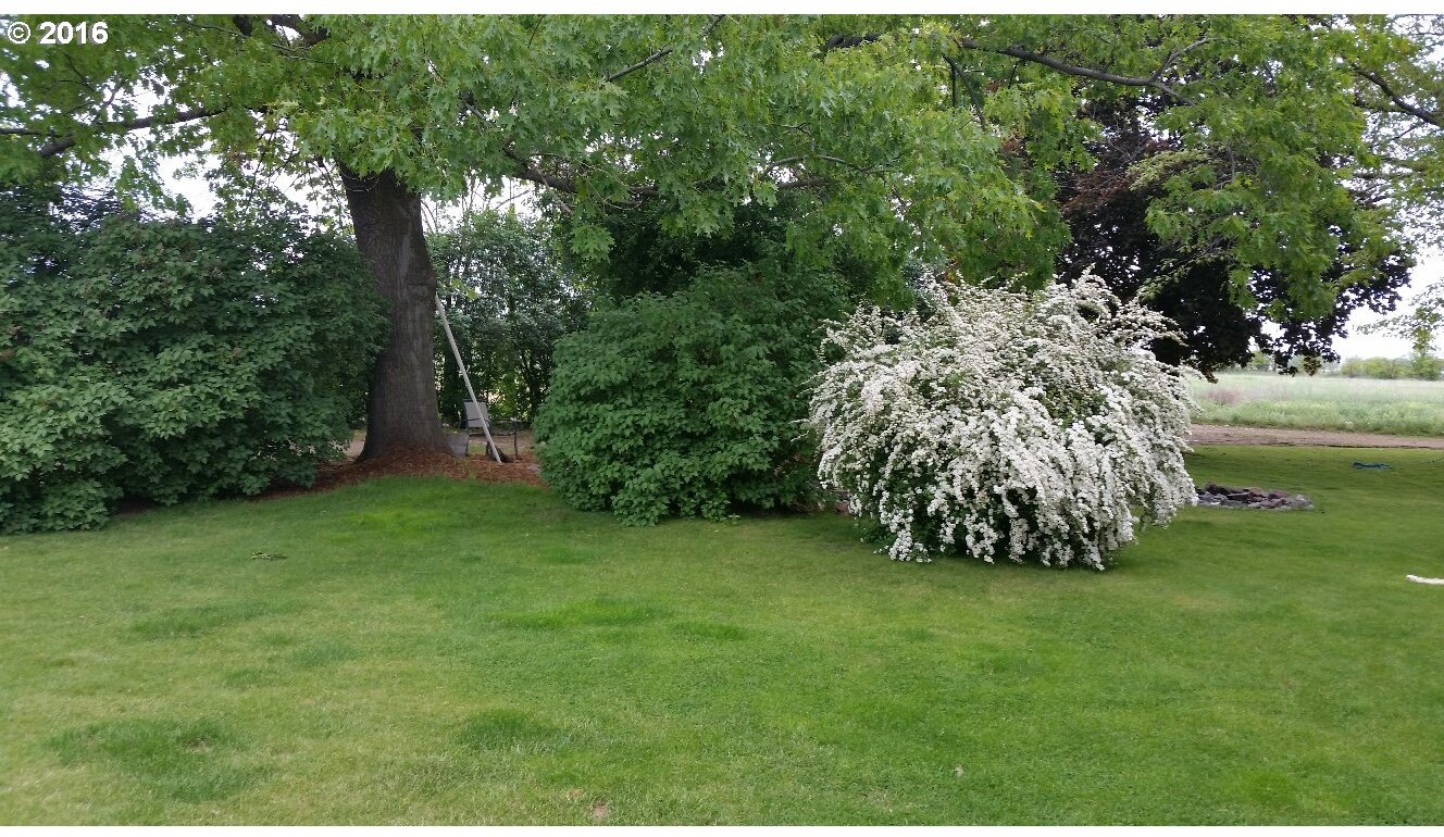 77862 North Ash Road Stanfield, OR 97875 - Photo 22 of 28 a garden with trees in the background