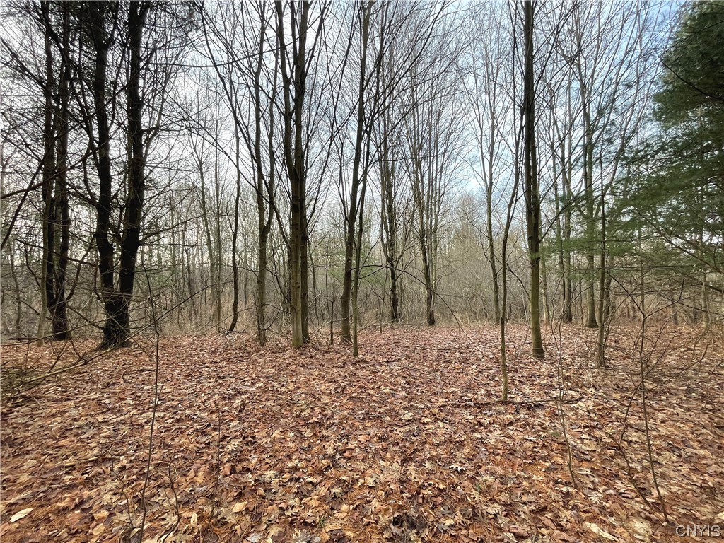 0 Co Rt 2 Pulaski, NY 13142 - Photo 1 of 1