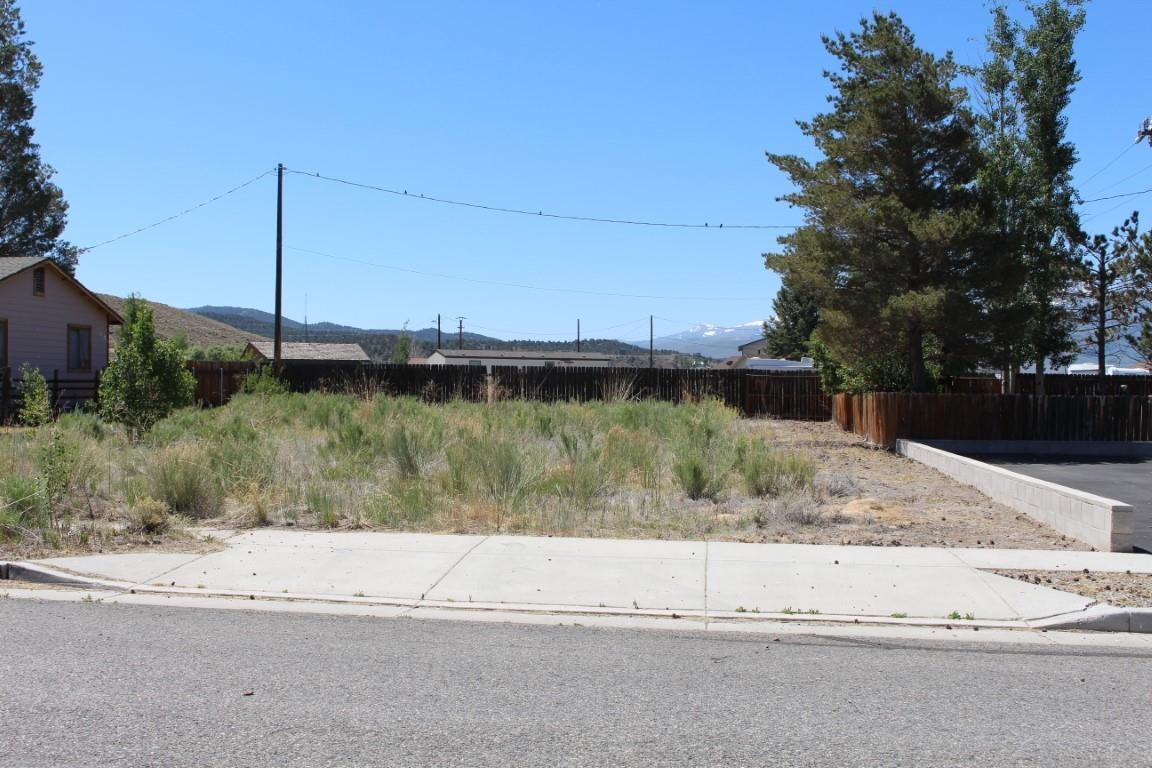 Cameron Dr Cameron Drive Bridgeport, CA 93517 - Photo 2 of 12 a view of a yard with a barn