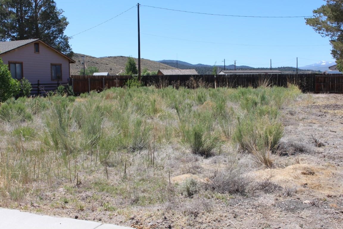 Cameron Dr Cameron Drive Bridgeport, CA 93517 - Photo 4 of 12 a view of a lake with a house in the background