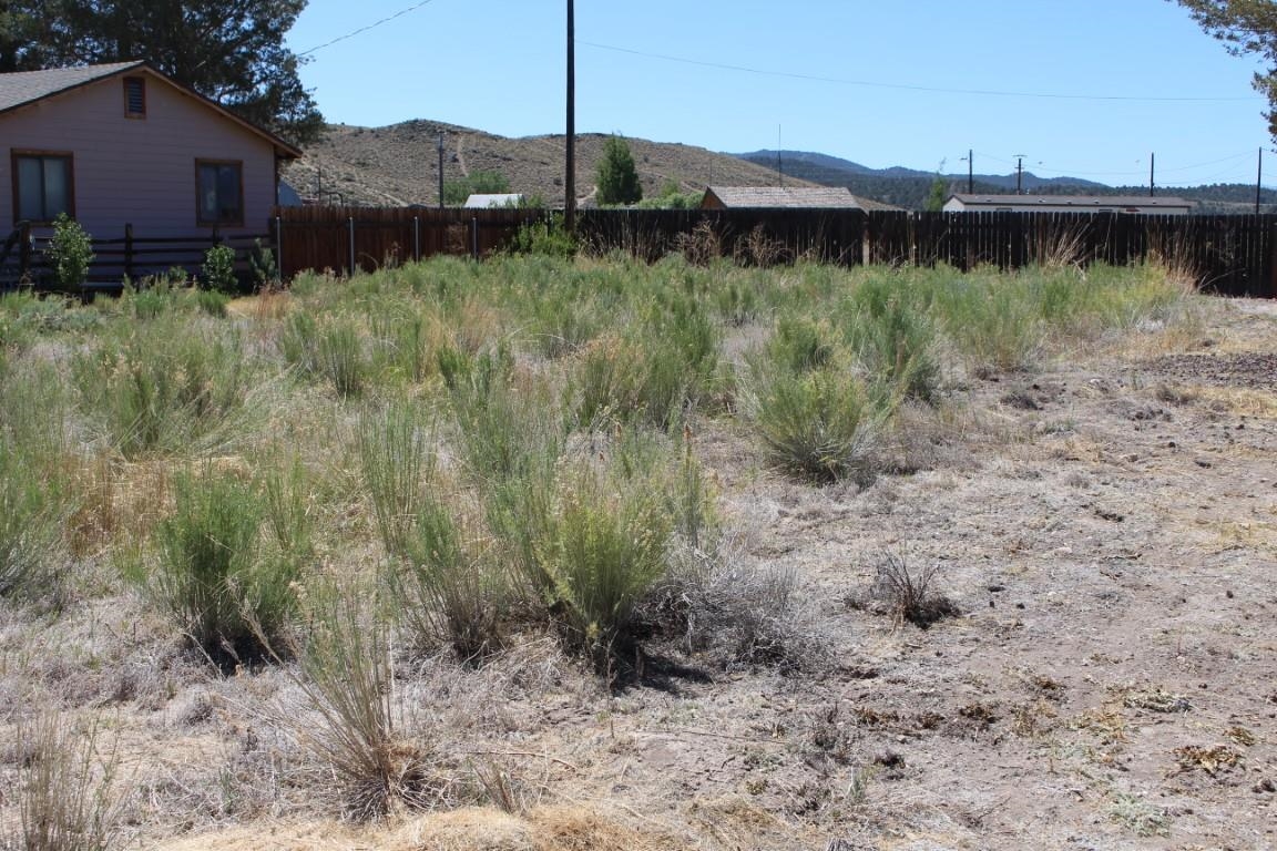 Cameron Dr Cameron Drive Bridgeport, CA 93517 - Photo 5 of 12 a view of a backyard