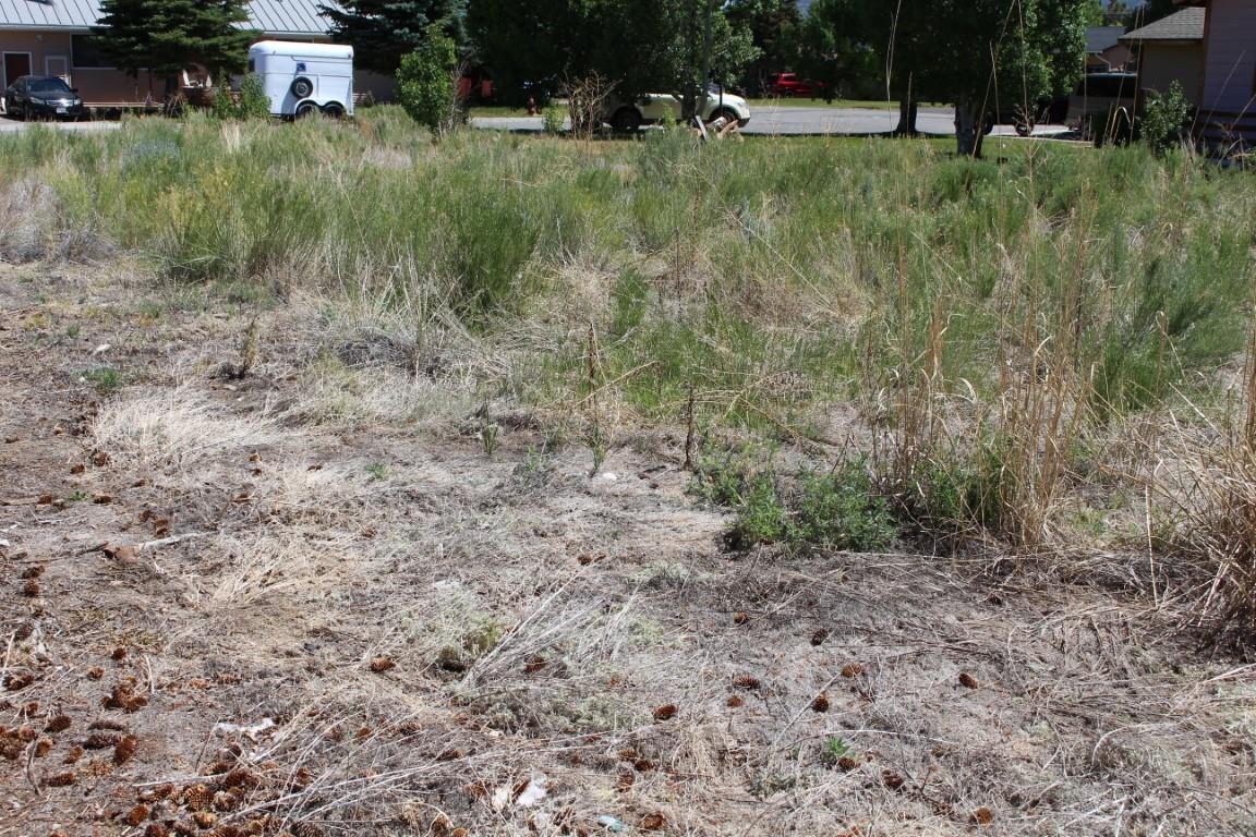 Cameron Dr Cameron Drive Bridgeport, CA 93517 - Photo 7 of 12 a view of a dry yard with trees