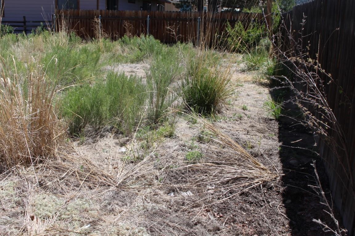 Cameron Dr Cameron Drive Bridgeport, CA 93517 - Photo 8 of 12 a view of a yard with plants and large trees