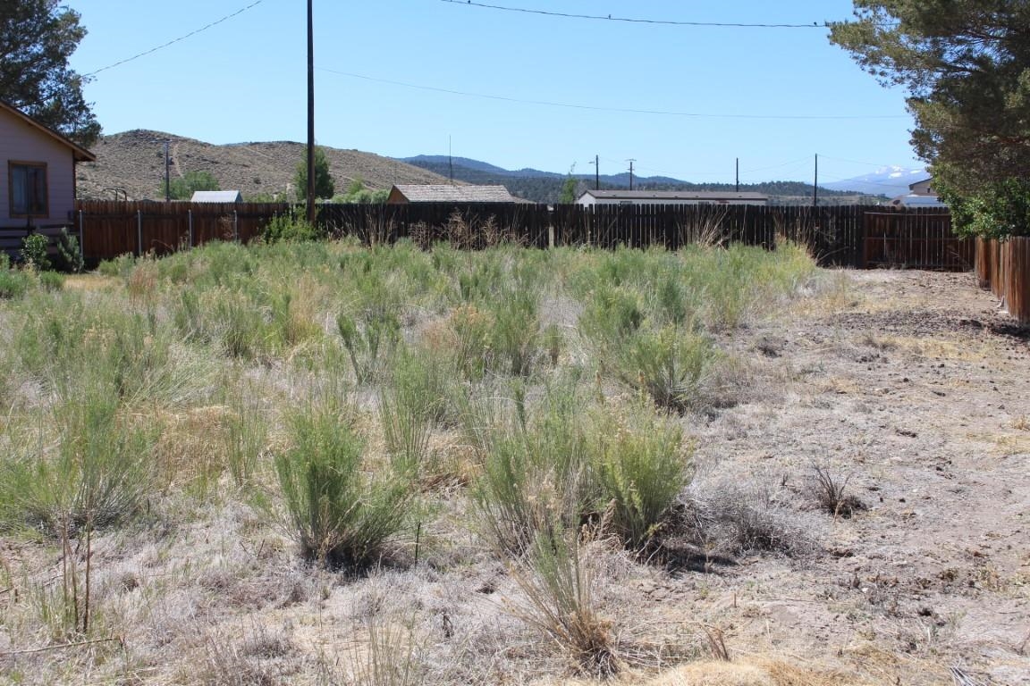 Cameron Dr Cameron Drive Bridgeport, CA 93517 - Photo 9 of 12 a view of a water covered with tall trees