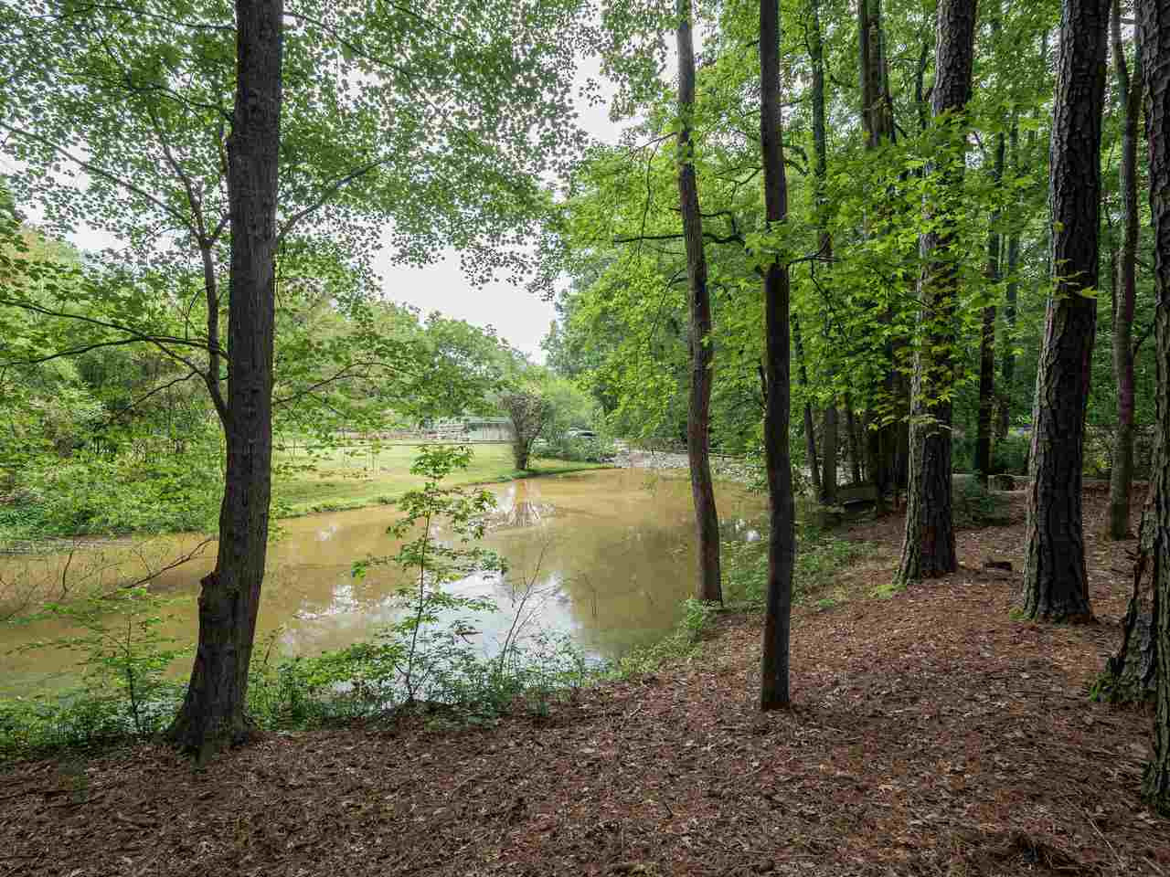 1625 Farlow Road Raleigh, NC 27603 - Photo 20 of 25 Serene setting